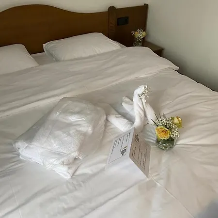 Ξενοδοχείο Goldene Rose 3*