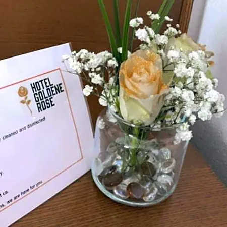 Goldene Rose Ebersbach an der Fils