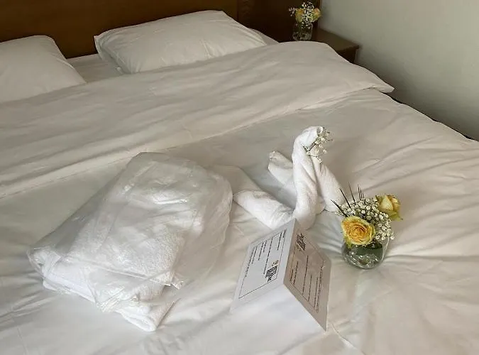 מלון Goldene Rose 3*