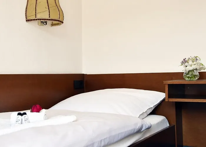 מלון Goldene Rose 3*