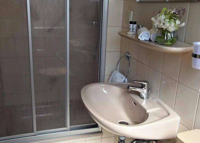 Goldene Rose מלון 3*