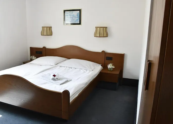 מלון Goldene Rose 3*